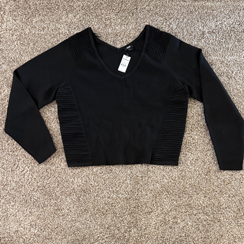 Express Black Ribbed V-Neck Crop Top